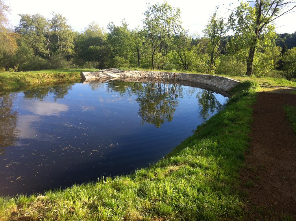 Penzion Farma Žleby Ceske Zleby Exterior foto